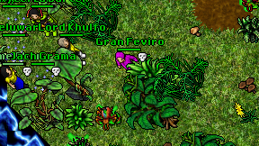Gran Feviro on screen