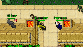 Gwuier on screen