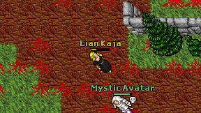 Lian Kaja on screen