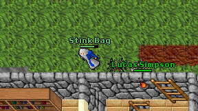 Stink Bag on screen