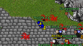 Mulekaa on screen