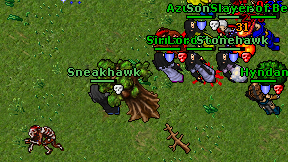 Sneakhawk on screen