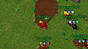 Mireox on screen