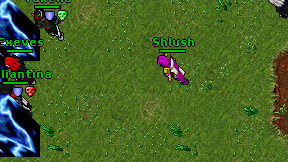 Shlush on screen