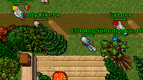 Elit Angelo on screen