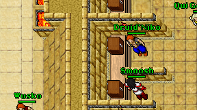 Druid'Niko on screen