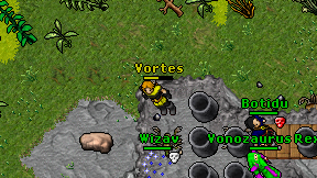 Vortes on screen