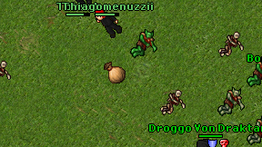 Thiagomenuzzii on screen