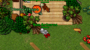 Van Arturus on screen
