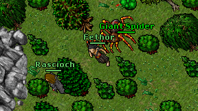 Fethor on screen