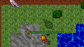 Samuri of shadows on screen