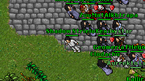 Shadow Strielok on screen