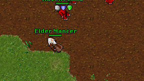 Elder Mancer on screen