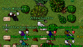 Zitex Guetix on screen
