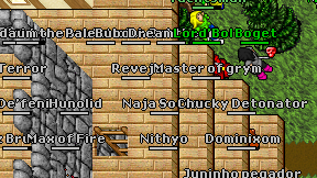 Revejo on screen