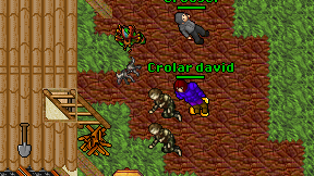 Crolar david on screen