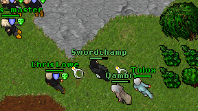 Swordchamp on screen