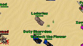 Daty Sharrdom on screen