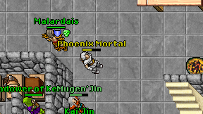 Phoenix Mortal on screen
