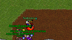 Saksocu on screen