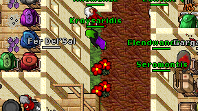 Fer Del'Sal on screen