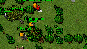Ropequillo on screen