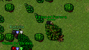Felus of Furora on screen