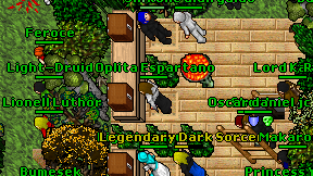 Light-Druid on screen