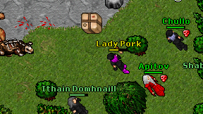 Lady Pork on screen