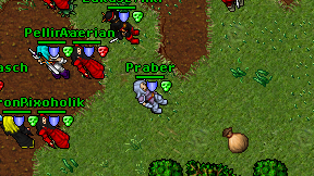 Praber on screen