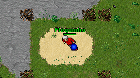 Floquinho on screen