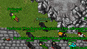 Auroris on screen