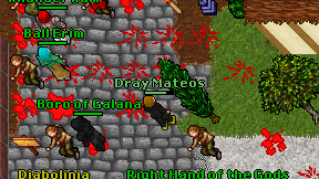 Dray Mateos on screen
