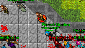Forest Shadow on screen