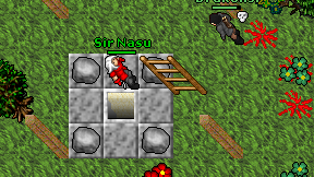Sir Nasu on screen