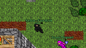 Seba-Fordzik on screen