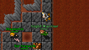 Night Warrior on screen