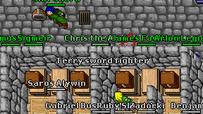 Terry sword fighter on screen