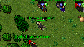 Deron Druidek on screen