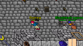 Dureg on screen