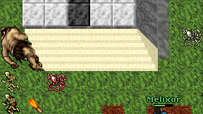 Dikuj on screen