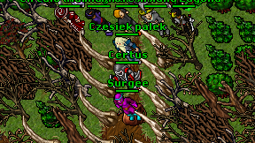 Certus on screen