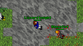 Lizzard knight on screen