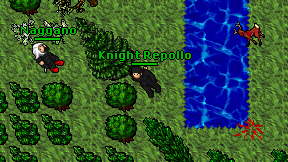Knight Repollo on screen