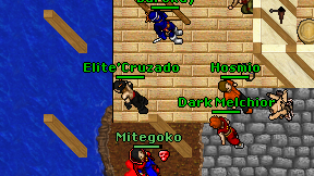 Elite'Cruzado on screen
