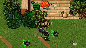 Mizia Pall on screen
