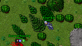 Kiurkx on screen