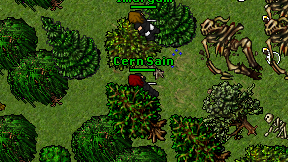 Cern Sain on screen