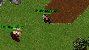 Ankarstock on screen