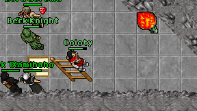 Coioty on screen